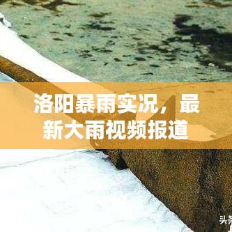 洛阳暴雨实况，最新大雨视频报道
