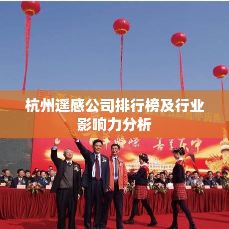 杭州遥感公司排行榜及行业影响力分析