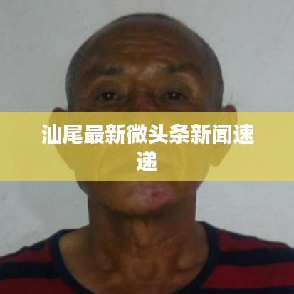 汕尾最新微头条新闻速递