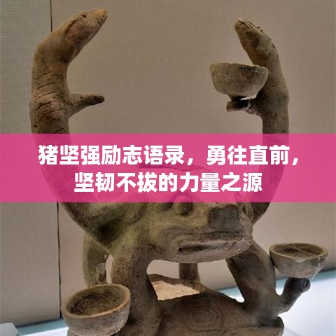 猪坚强励志语录，勇往直前，坚韧不拔的力量之源