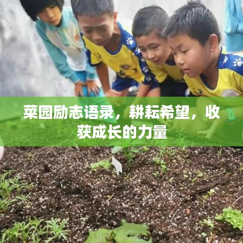 菜园励志语录，耕耘希望，收获成长的力量
