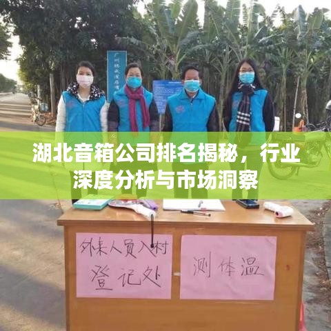 湖北音箱公司排名揭秘，行业深度分析与市场洞察