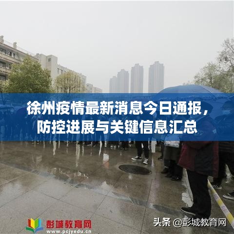 徐州疫情最新消息今日通报，防控进展与关键信息汇总