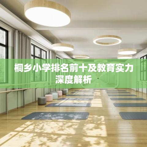 桐乡小学排名前十及教育实力深度解析