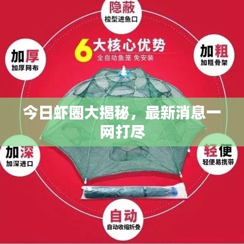 今日虾圈大揭秘，最新消息一网打尽