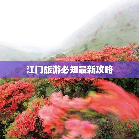 张牙舞爪 第2页