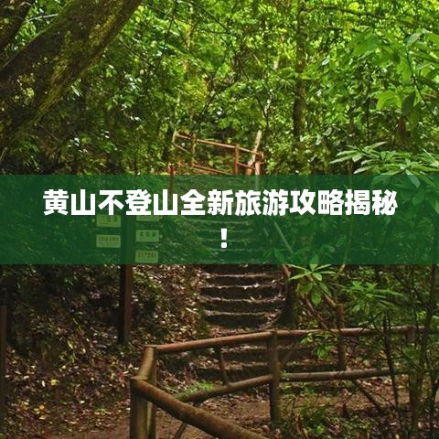 黄山不登山全新旅游攻略揭秘！