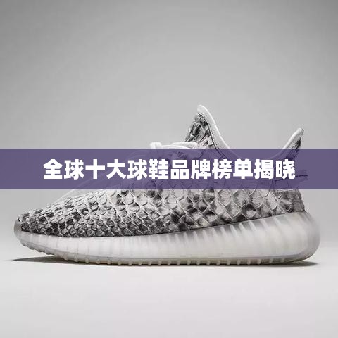 全球十大球鞋品牌榜单揭晓