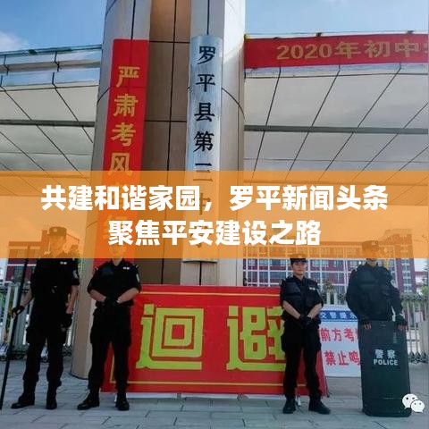 共建和谐家园，罗平新闻头条聚焦平安建设之路