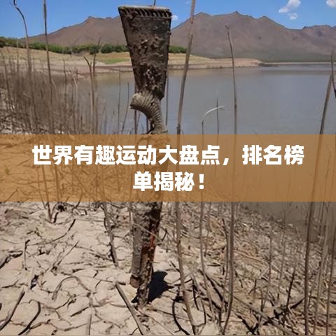 世界有趣运动大盘点，排名榜单揭秘！