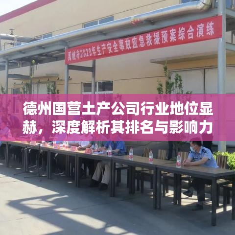 德州国营土产公司行业地位显赫，深度解析其排名与影响力