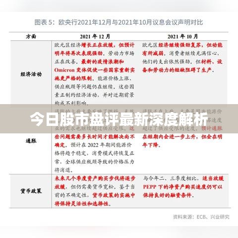 今日股市盘评最新深度解析