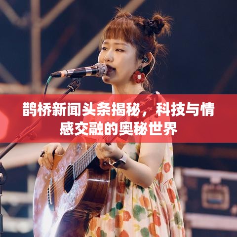 鹊桥新闻头条揭秘，科技与情感交融的奥秘世界