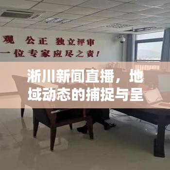 淅川新闻直播，地域动态的捕捉与呈现