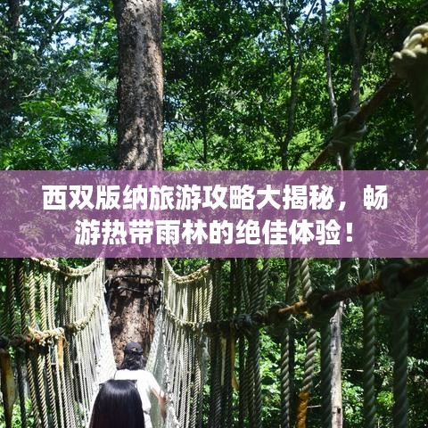 五光十色 第2页