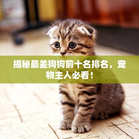 朴素无华 第2页