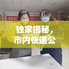 独家揭秘，市内快递公司排名背后的影响力解析！