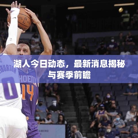湖人今日动态，最新消息揭秘与赛季前瞻