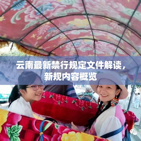云南最新禁行规定文件解读，新规内容概览