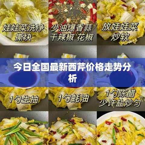 今日全国最新西芹价格走势分析