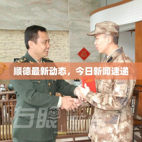 顺德最新动态，今日新闻速递