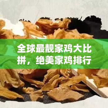 全球最靓家鸡大比拼，绝美家鸡排行榜揭晓！