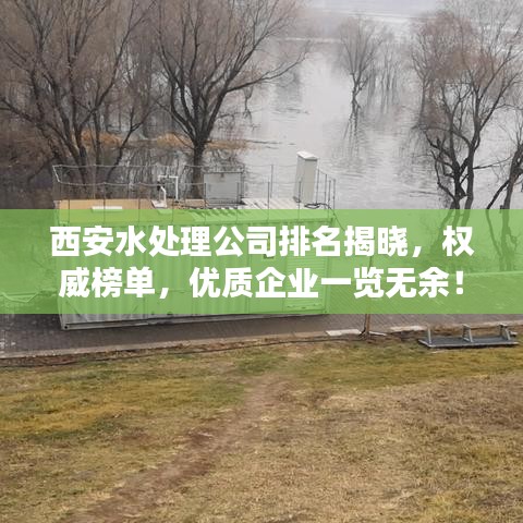 西安水处理公司排名揭晓，权威榜单，优质企业一览无余！