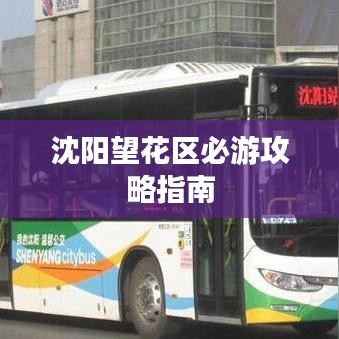 沈阳望花区必游攻略指南