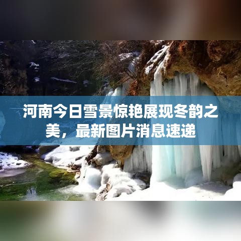 河南今日雪景惊艳展现冬韵之美，最新图片消息速递