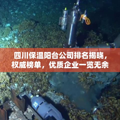 四川保温阳台公司排名揭晓，权威榜单，优质企业一览无余！