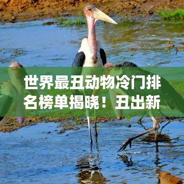 世界最丑动物冷门排名榜单揭晓！丑出新高度！