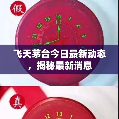 飞天茅台今日最新动态，揭秘最新消息