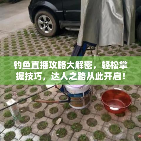 钓鱼直播攻略大解密，轻松掌握技巧，达人之路从此开启！