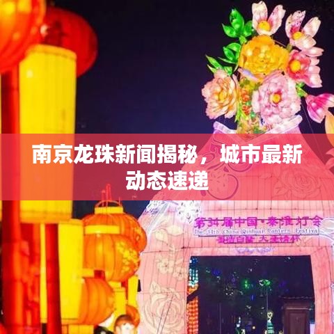 南京龙珠新闻揭秘，城市最新动态速递