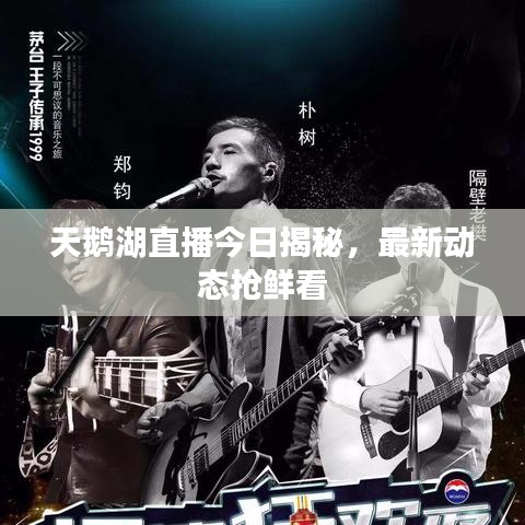 天鹅湖直播今日揭秘，最新动态抢鲜看