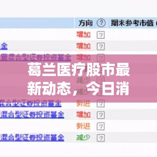 葛兰医疗股市最新动态，今日消息一网打尽