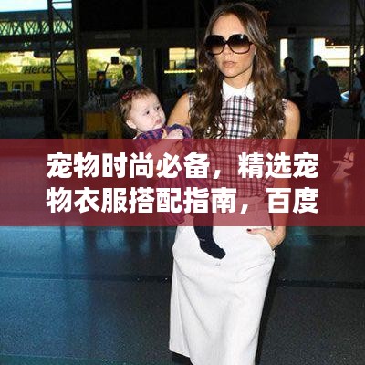宠物时尚必备，精选宠物衣服搭配指南，百度收录标准标题
