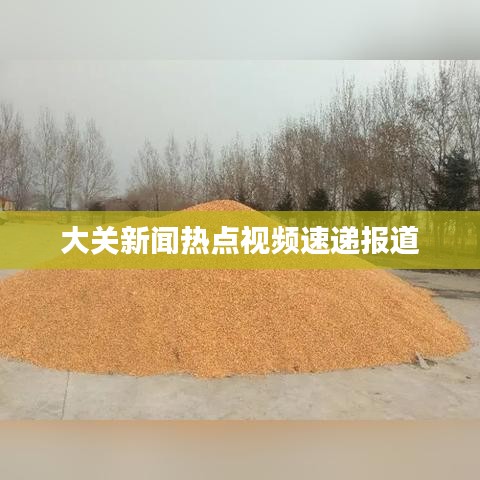 大关新闻热点视频速递报道