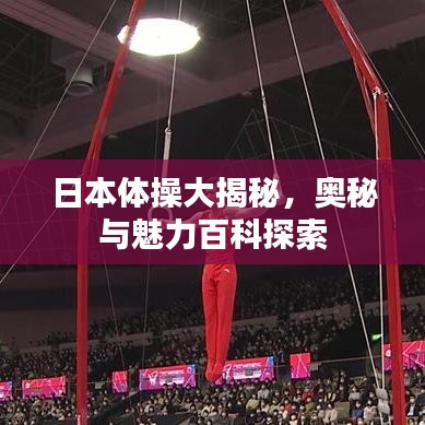 日本体操大揭秘，奥秘与魅力百科探索