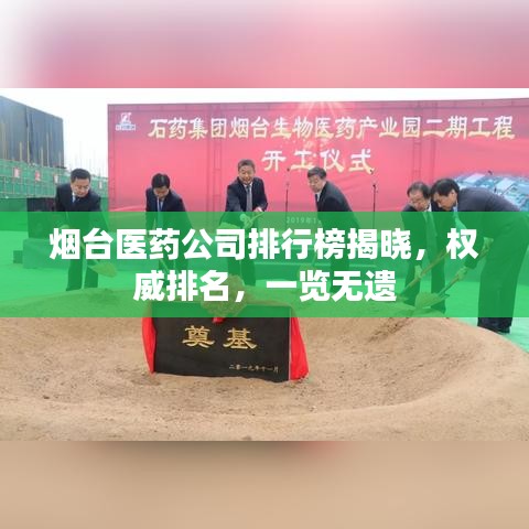 烟台医药公司排行榜揭晓，权威排名，一览无遗