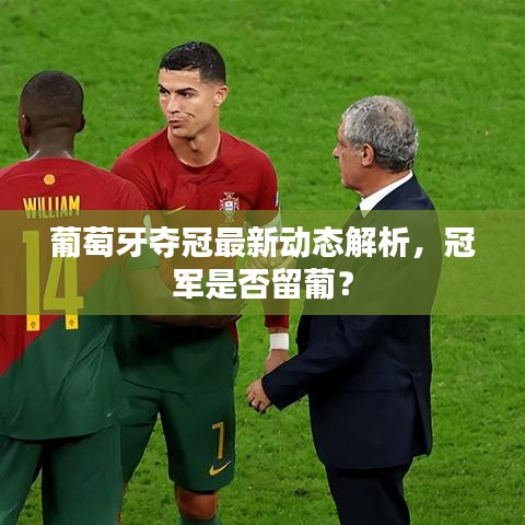 葡萄牙夺冠最新动态解析，冠军是否留葡？