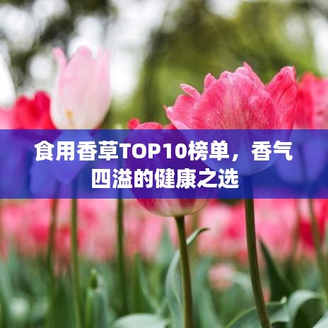食用香草TOP10榜单，香气四溢的健康之选