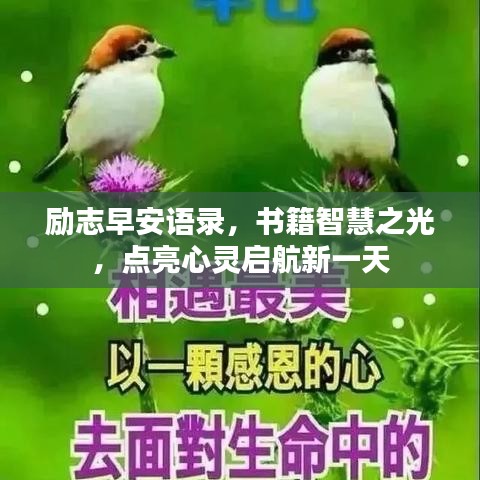 励志早安语录，书籍智慧之光，点亮心灵启航新一天