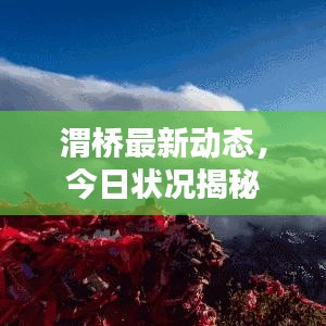 渭桥最新动态，今日状况揭秘