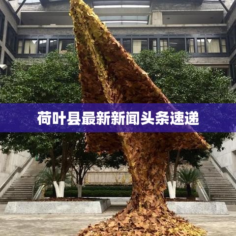 荷叶县最新新闻头条速递