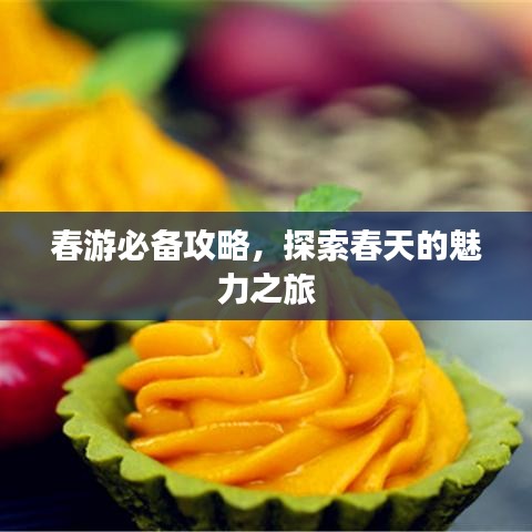 春游必备攻略，探索春天的魅力之旅