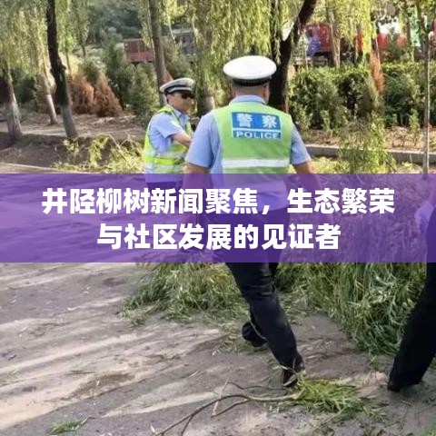 井陉柳树新闻聚焦，生态繁荣与社区发展的见证者