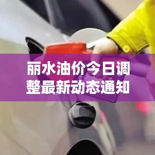 丽水油价今日调整最新动态通知