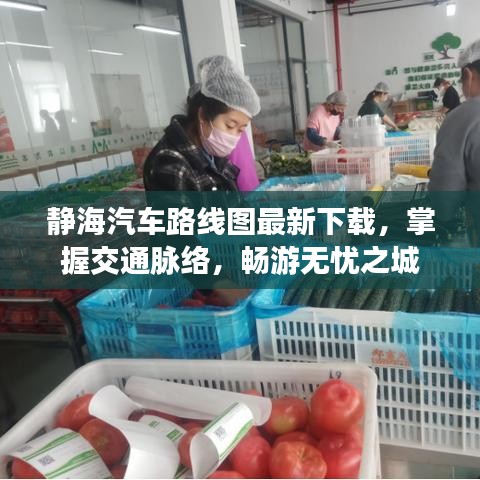静海汽车路线图最新下载，掌握交通脉络，畅游无忧之城