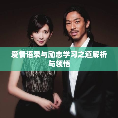 爱情语录与励志学习之道解析与领悟